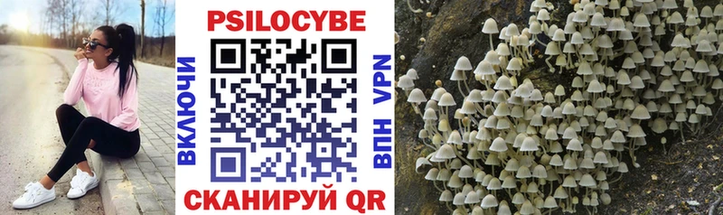 Купить закладки  Дорогобуж  Псилоцибиновые грибы мицелий 