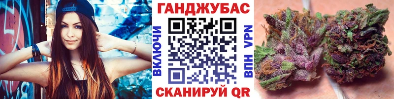 Купить закладки  Дорогобуж  Канабис индика 
